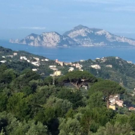 Апартаменты La Vista Sul Golfo Масса-Лубренсе Экстерьер фото