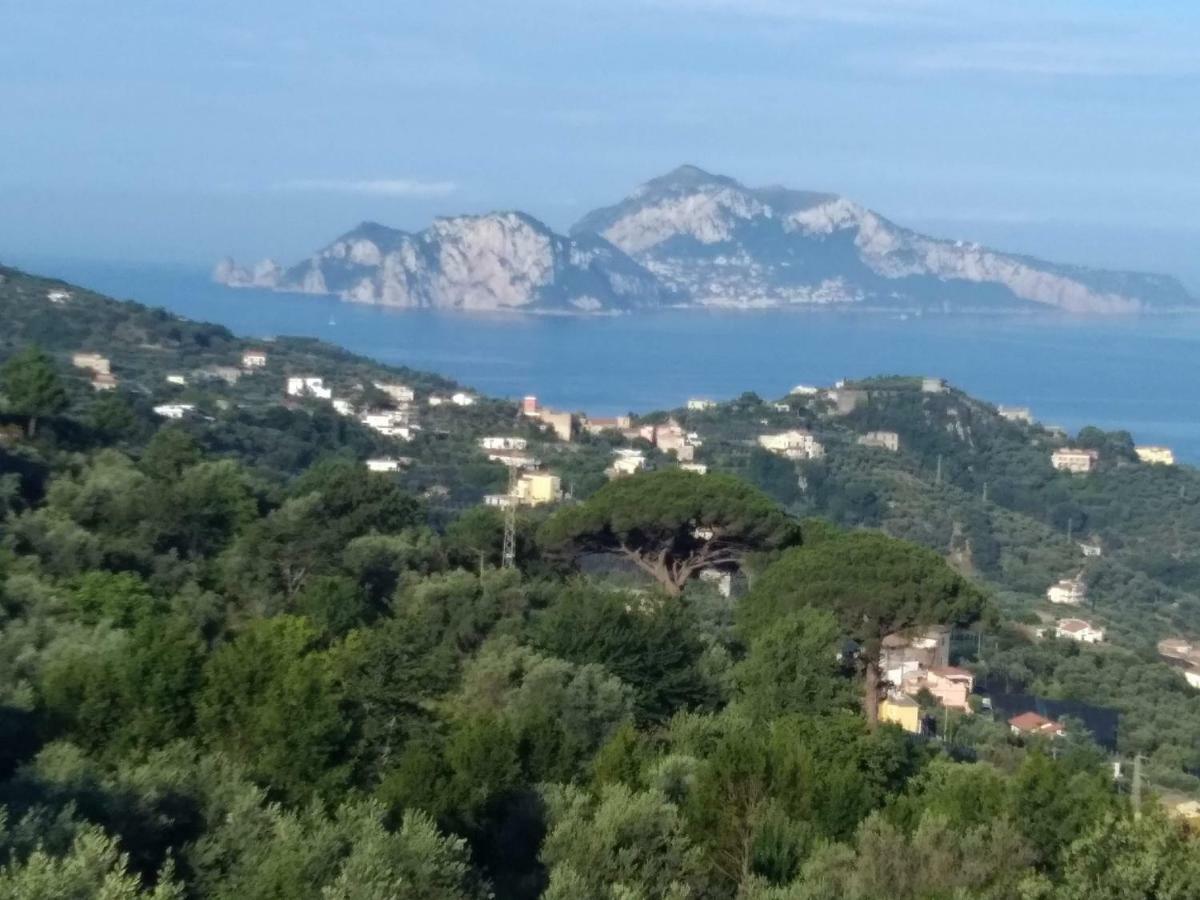 Апартаменты La Vista Sul Golfo Масса-Лубренсе Экстерьер фото