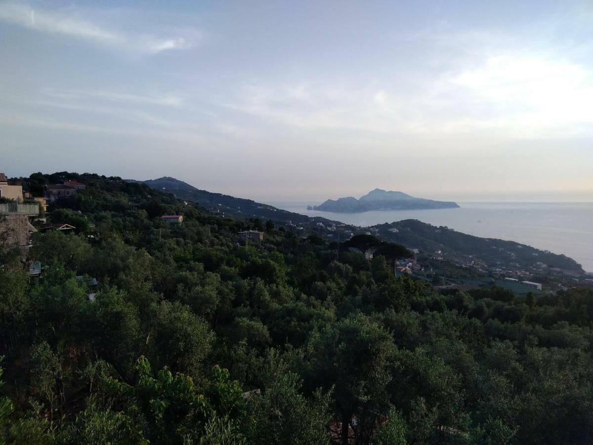 Апартаменты La Vista Sul Golfo Масса-Лубренсе Экстерьер фото