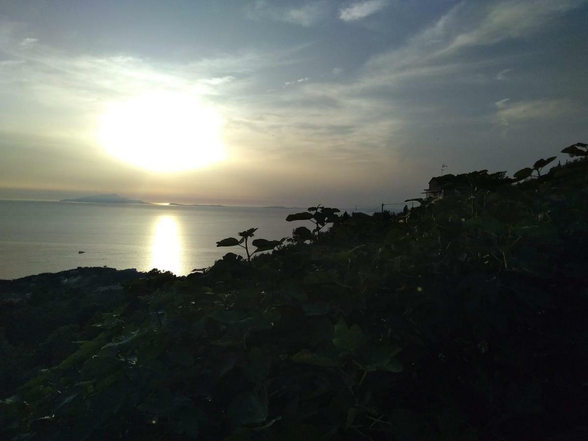 Апартаменты La Vista Sul Golfo Масса-Лубренсе Экстерьер фото